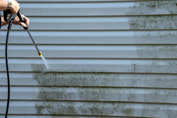 Moving and Downsizing Cleanouts in Burien, WA