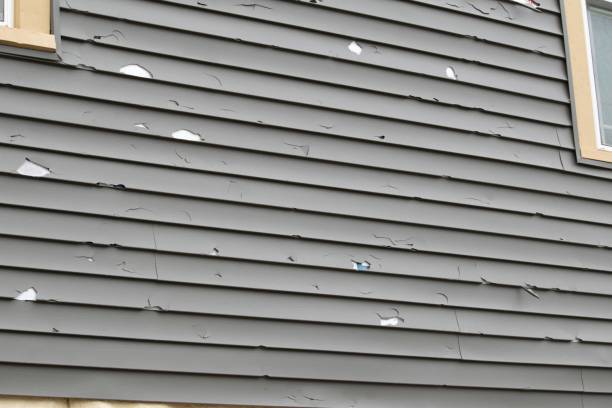 Best Construction Debris Removal  in Burien, WA